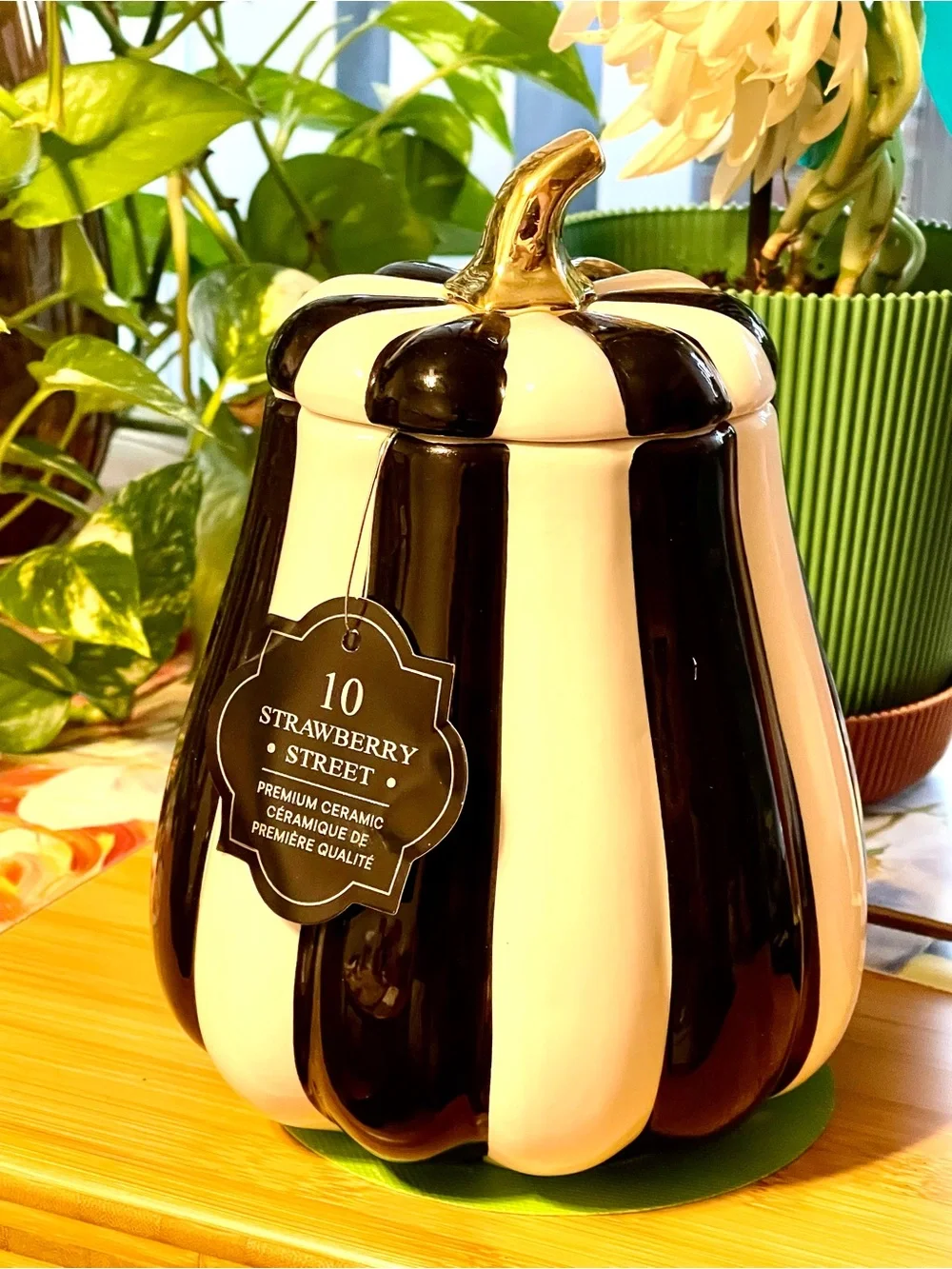 New black and white stripe ceramic pumpkin canister jar